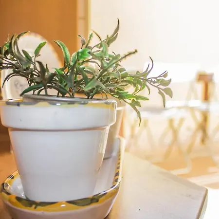 Accommodatie bij particulieren Blife Olaya Private Olhão